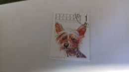 LR / TIMBRE BULGARIA 1991 CHIEN - Gebraucht