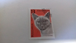 LR / TIMBRE BULGARIA 1989 CHAT - Gebraucht