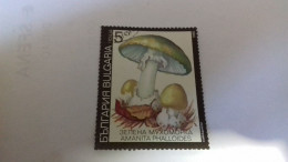 LR / TIMBRE BULGARIA 1990 CHAMPIGNON - Gebruikt