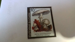 LR / TIMBRE BULGARIA 1990 CHAMPIGNON - Used Stamps