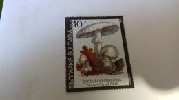 LR / TIMBRE BULGARIA 1990 CHAMPIGNON - Gebruikt