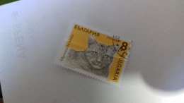 LR / TIMBRE BULGARIA 1989 CHAT - Used Stamps