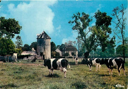 77 - Pontault Combault - La Ferme Dinneveth - Vaches - CPM - Voir Scans Recto-Verso - Pontault Combault