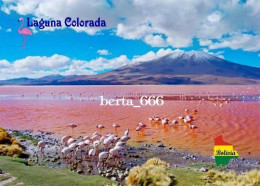 Bolivia Laguna Colorada Salt Lake Red Lagoon New Postcard - Bolivië