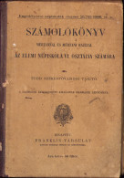 Számolókönyv Mértannal és Mértani Rajzzal Az Elemi Népiskola VI. Osztalya Számára 1906 Budapest 588SP - Old Books