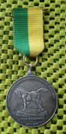 Medaile :   Avondvierdaagse - Paard Te Raamsdonk - Juni 1994 . -  Original Foto  !!  Medallion  Dutch - Ruitersport