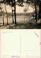 Ansichtskarte Schmannewitz-Dahlen Waldbad 1968 - Dahlen