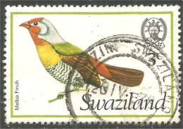 844 Swaziland Oiseau Bird Vogel Uccello Melba Finch Fringuello Fink Bouvreuil (SWZ-32c) - Swaziland (1968-...)