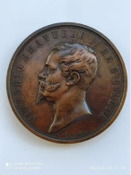 Italia Regno - Vittorio Emanuele II (medaglia) - Monarchia/ Nobiltà