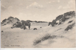 Heide - Calmpthout , Kalmthout ,  In  De  Duinen - Kalmthout