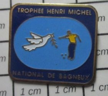 2120 Pin's Pins / Beau Et Rare / SPORTS / PETANQUE NATIONAL DE BAGNEUX TROPHEE HENRI MICHEL - Petanque