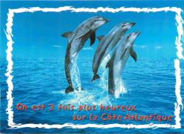 Animaux - Dauphin - Dolphin - Carte à Message - CPM - Carte Neuve - Voir Scans Recto-Verso - Dauphins