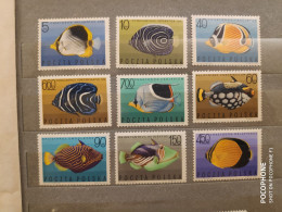 1967	Poland	Fishes (F88) - Ongebruikt