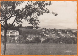 CPSM De  68  ALTKIRCH  Nouveau Quartier Le 25 11 1983 - Altkirch