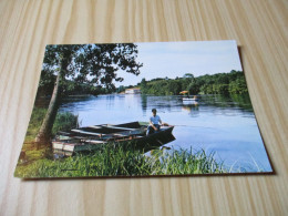 Chantonnay (85).Le Lac Du Moulin Neuf - Paradis Des Pêcheurs. - Chantonnay