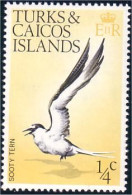 886 Turks Caicos Sterne Sooty Tern MNH ** Neuf SC (TUK-12a) - Mouettes
