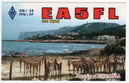 AK 211370 QSL - Spain - Valencia - Radio Amateur