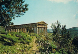 CPM..ITALIE..SICILE..IL TEMPIO..LE TEMPLE - Trapani