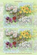 Russia 2024, Flora Of Russia Series, Sheet, Caucasian State Reserve, VF MNH**, See Names Of RARE Flowers Below. - Hojas Completas