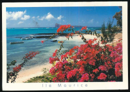 CPSM / CPM 10.5 X 15 ILE MAURICE (1) Bain Bœuf - Mauritius