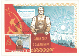 MAX 54 - 315 RUSSIA - Maximum Card - 1982 - Lettres & Documents