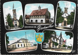 BISCHWILLER - Vues - Blason - Souvenir - Bischwiller