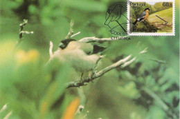 Bullfinch, Maxim Card, Portugal, 1986, Condition As Per Scan - Brieven En Documenten