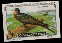 Nestlé - 57 - Oiseaux De Mer, Seabirds - 4 - La Frégate, Frigatebird - Nestlé