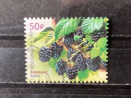 Russia / Rusland - Fruits (50) 2021 - Used Stamps