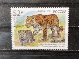 Russia / Rusland - Europa, Endangered Animals (52) 2021 - Used Stamps