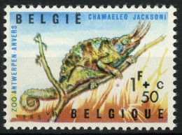 België 1344-V1 ** - Bruine Vlek Onder Poot - Tache De Couleur Sous La Patte  - 1961-1990