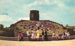 NIAGARA FALLS, ONTARIO, HYDRO FLORAL CLOCK, CANADA, POSTCARD - Chutes Du Niagara