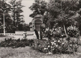 56181 - Fürstenberg / Havel - Park Des Friedens - 1982 - Fuerstenberg