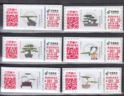 CHINA 2023 The Art-Bonsai  ATM Label Stamps 6v 1.2RMB - Unused Stamps
