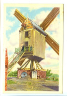 Image 12 X 7.8 Belgique Folklore Belge Belgische Folklore WINGHE SAINT-GEORGES Le Moulin à Vent Est Toujours En Service* - Côte D'Or