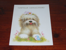 73662- DOG - HARTELIJK GEFELICITEERD / CONGRATULATIONS / HERZLICHE GLÜCKWÜNSCHE / TOUTES NOS FÉLICITATIONS - Geburtstag