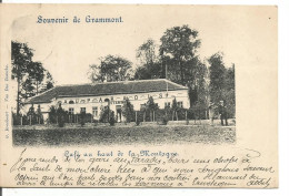 Grammont ( Jur - Geraardsbergen