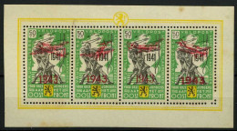 België E35 (*) - Vlaams Legioen Met Opdruk 1943 En Een Vliegtuig - Légion Flamande Surchargé - Getand In Velletje Van4 - Erinnophilie - Reklamemarken [E]