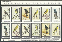 B62-76 CANADA Lung Association Nature Seals 1996 MNH Birds - Vignettes Locales Et Privées