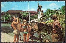 Jamaica - Circa 1970 - Couple - A Refreshing Drink Of Coconut Water - Jamaïque