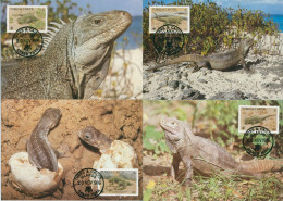 Turks- Und Caicos-Inseln 1986 WWF Reptilien 777/80 Maximumkarten (X30718) - Turks- En Caicoseilanden