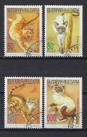 Bulgarie 1998 Chats (66) Yvert N° 3772 à 3775 Oblitérés - Gebruikt