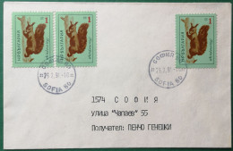 Bulgarien Bedarfsbrief 1991 Mit 3x Eichhörnchen - Oblitérés