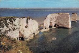 ROYAUME UNI - Dorset - Old Nacry Rocks Near Studland - Colorisé - Carte Postale - Other & Unclassified