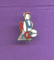 Rare Pins Federation Francaise De Billard Ffb Coq Bbr Egf Q192 - Billard