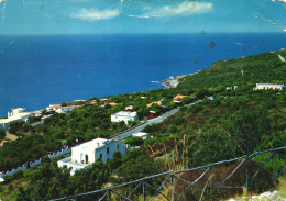 SAN FELICE CIRCEO, LATINA, LAZIO, ARCHITECTURE, ITALIA, POSTCARD - Latina