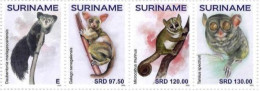 Suriname 2024, Monkey, 4val - Chimpanzees