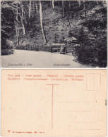 Ansichtskarte Bad Freienwalde Partie An Der Kurfürstenquelle 1905 - Bad Freienwalde