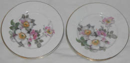 6 Cake Plates / Dessert Plates With Floral Motifs (wild Roses?) - Other & Unclassified