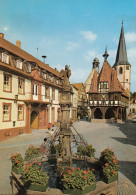 Michelstadt - Marktbrunnen - Michelstadt